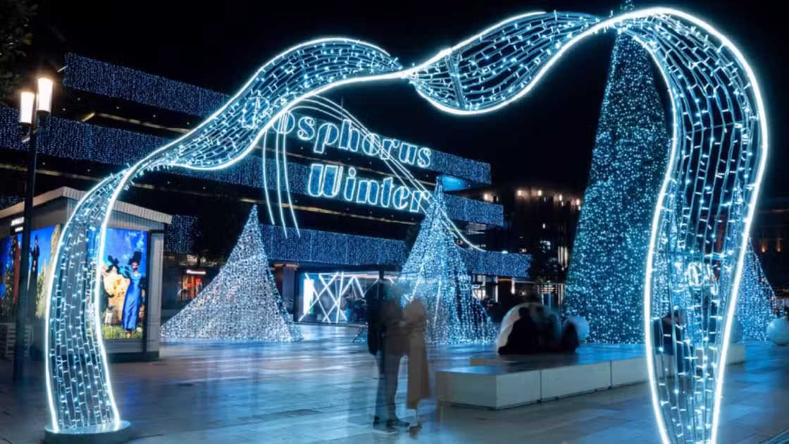 Holiday Lighting