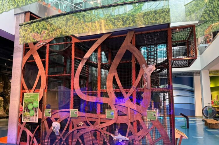 Interactive Installation