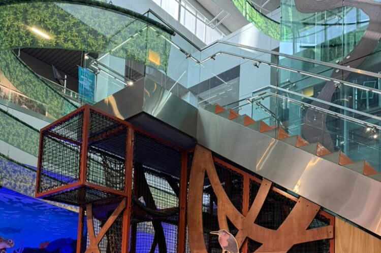 Sculptural Climbing Structure